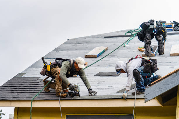 Professional Roofing technician working in Louviers, CO